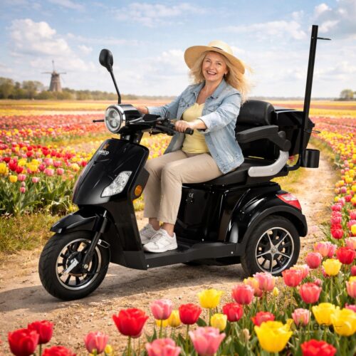 pani na draco czarny